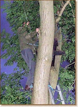 BoxInstallMast